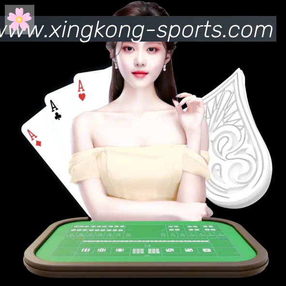 战术分析频道